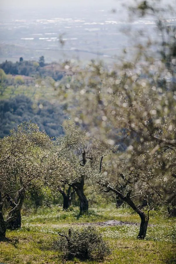 Guest house Villa Desiderio Tuscany Pistoia