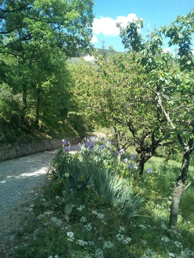Villa Desiderio Tuscany Pistoia Italy